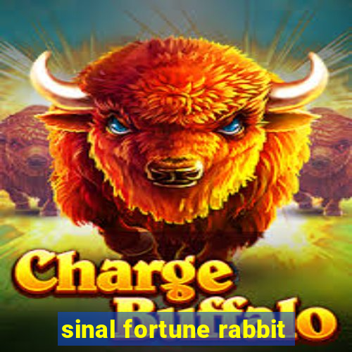 sinal fortune rabbit